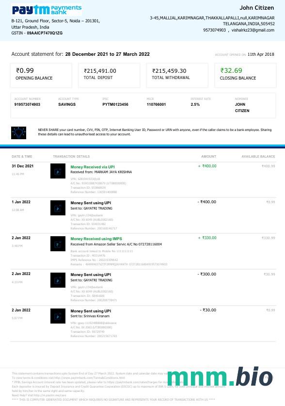 Indie Paytm płatności wyciąg bankowy Word i PDF szablon, 2 strony, Wersja 2